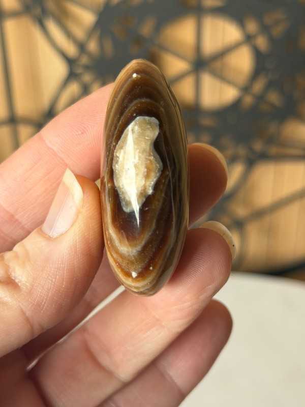 Galet en aragonite marron (0.042kg)