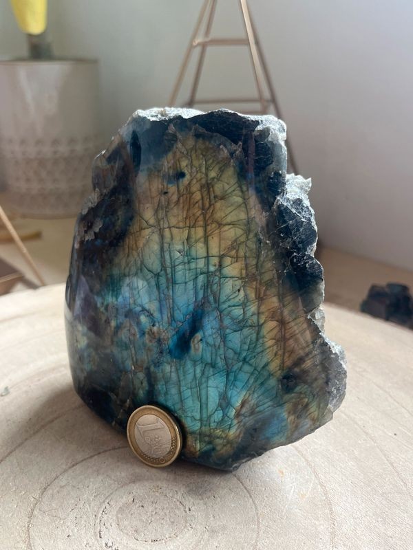 Labradorite une face polie (1,31 Kg)