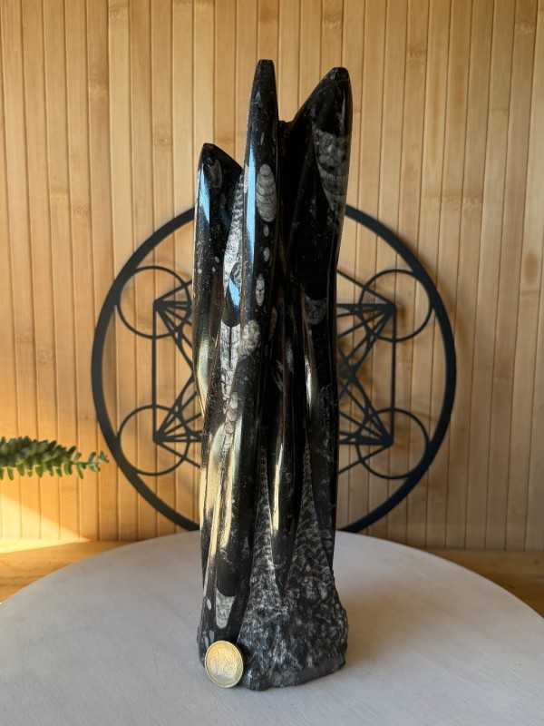 Sculpture en Orthoceras (2.664kg)