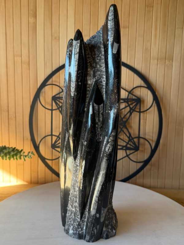 Sculpture en Orthoceras (2.664kg)