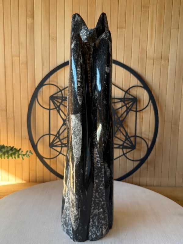 Sculpture en Orthoceras (2.664kg)