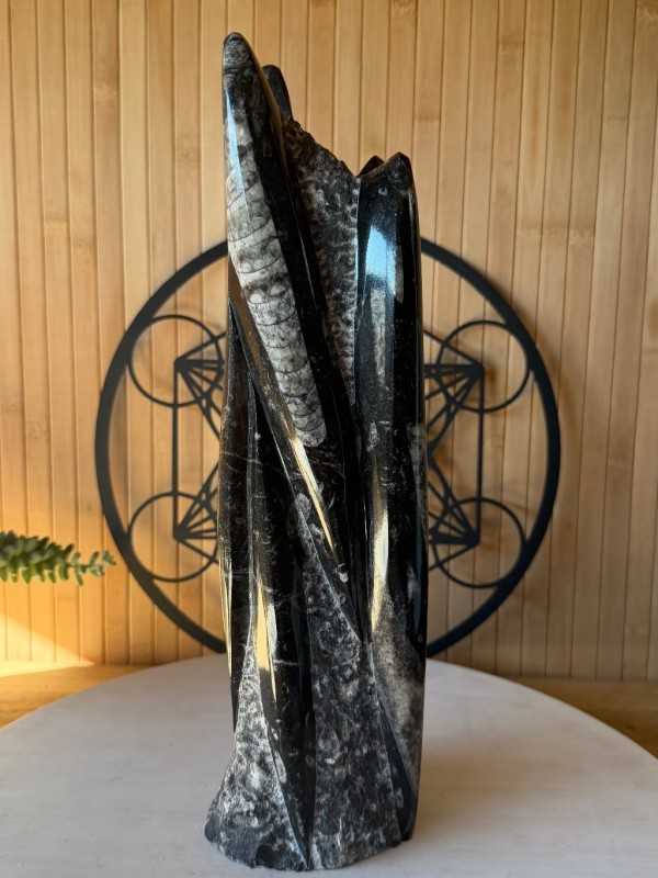 Sculpture en Orthoceras (2.664kg)