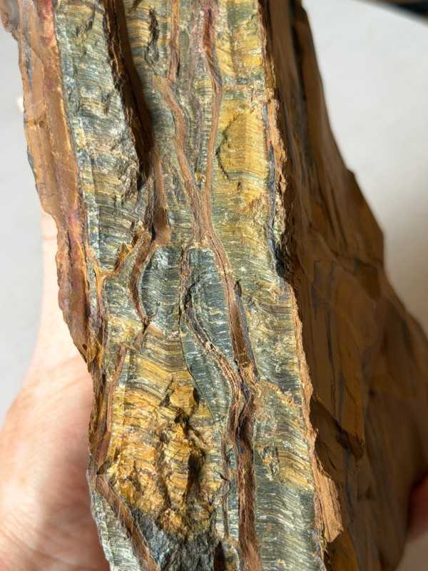 Œil de faucon (2.456kg)