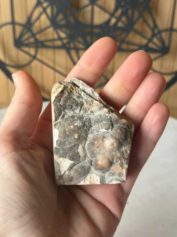 Rhodochrosite (0.16kg)