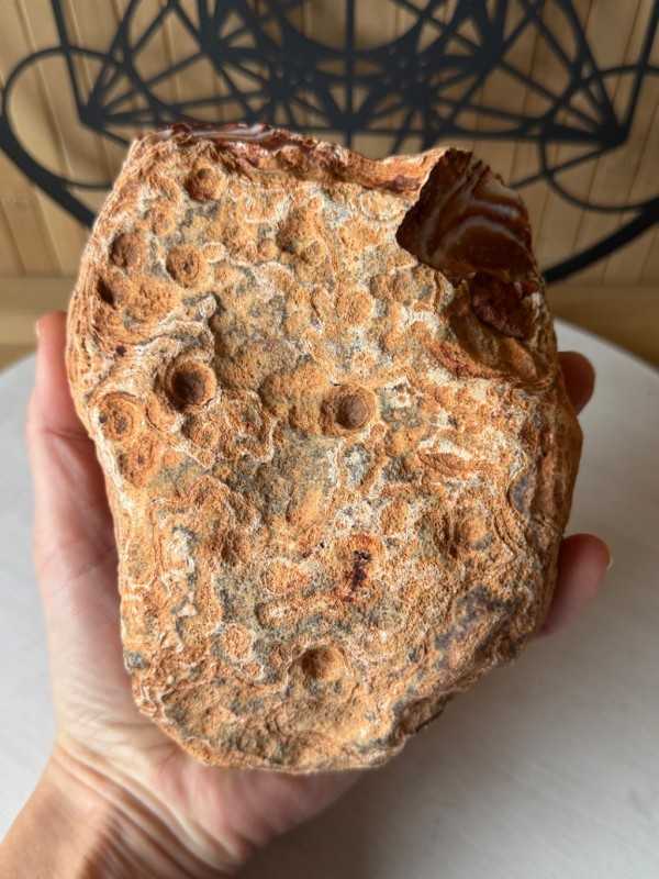 Agate cornaline (1.4kg)