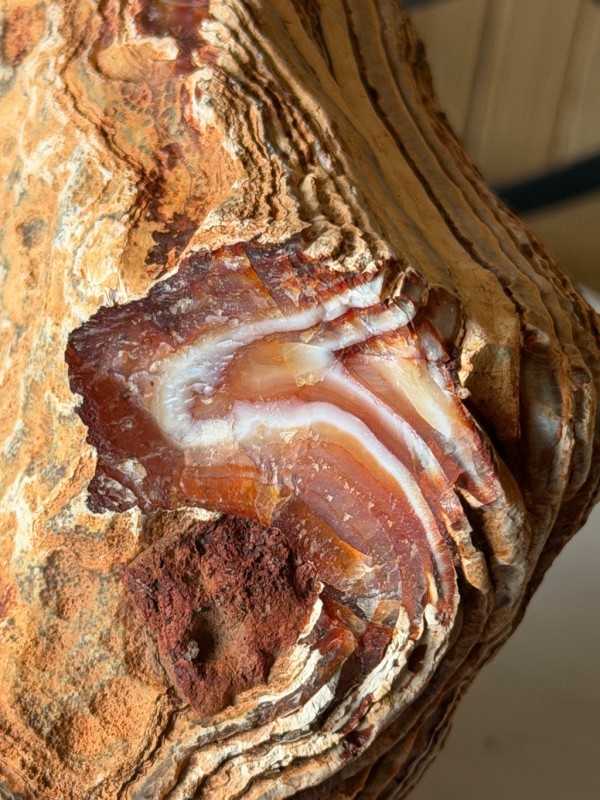 Agate cornaline (1.4kg)