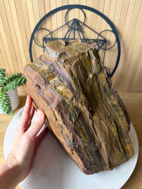 Œil de tigre (12.8kg)