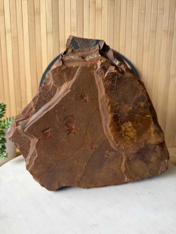 Œil de tigre (12.8kg)