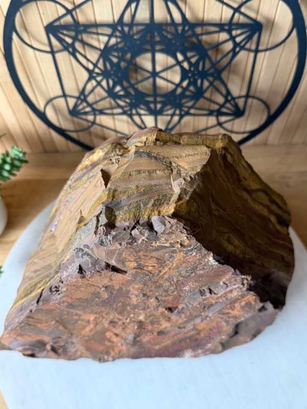 Œil de tigre (12.8kg)