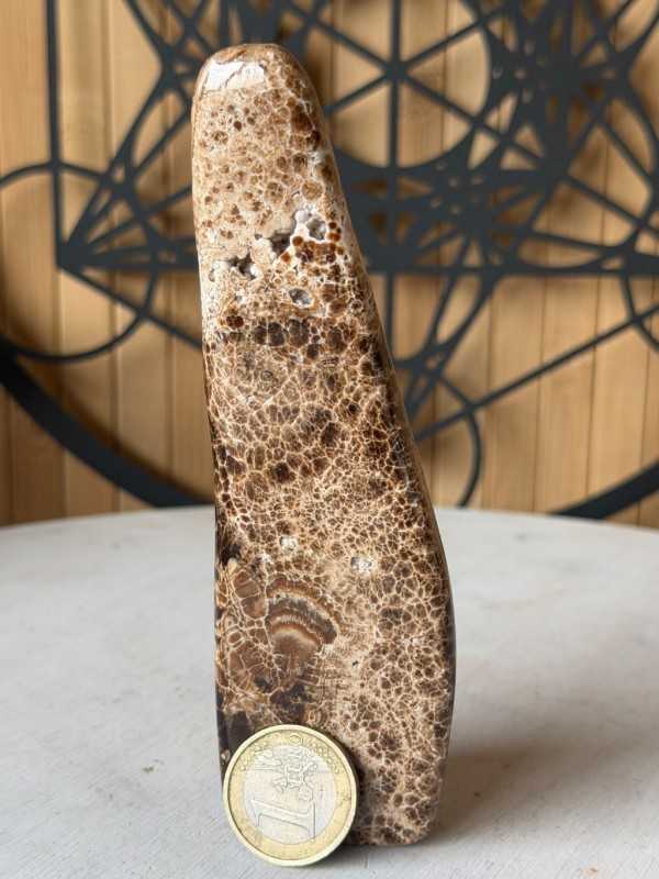 Aragonite marron (0.246kg)