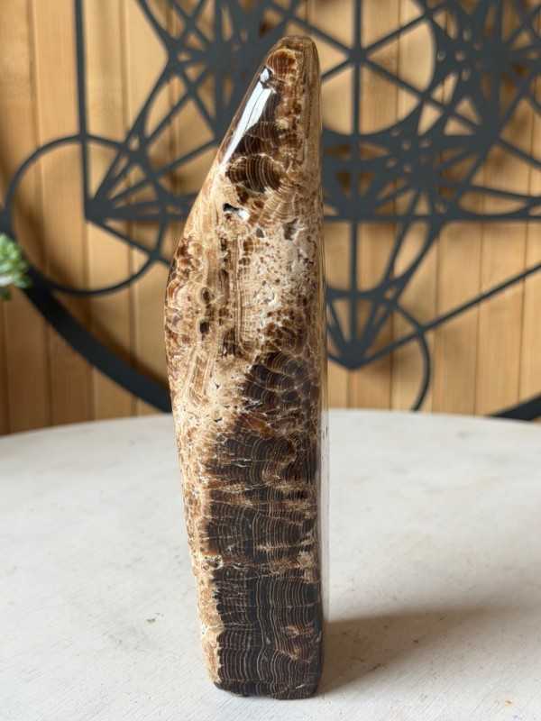 Aragonite marron (0.246kg)