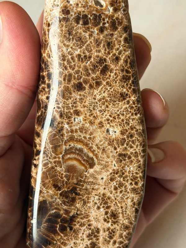 Aragonite marron (0.246kg)