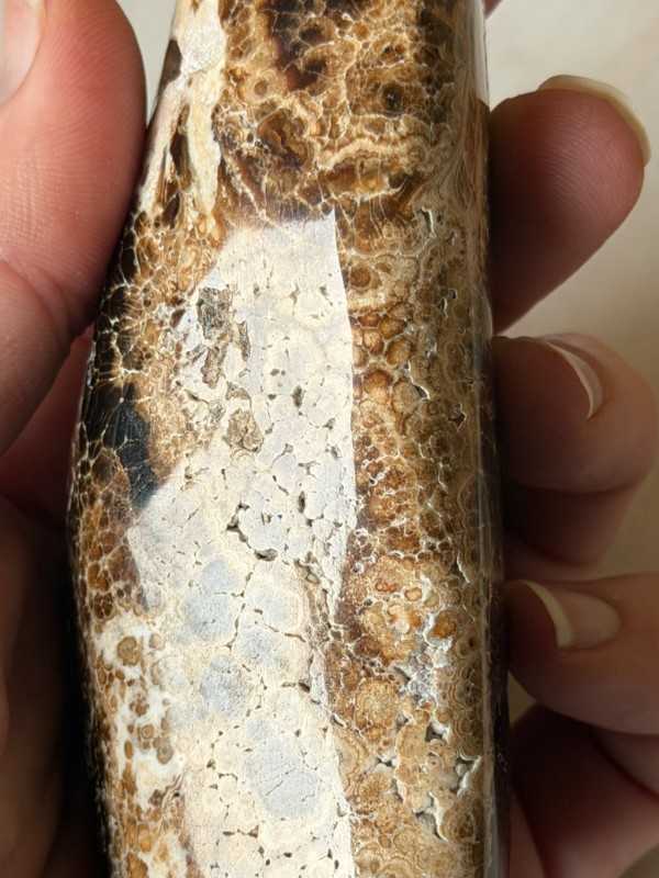 Aragonite marron (0.246kg)