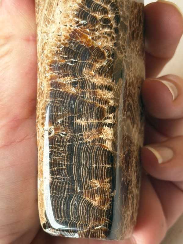 Aragonite marron (0.246kg)