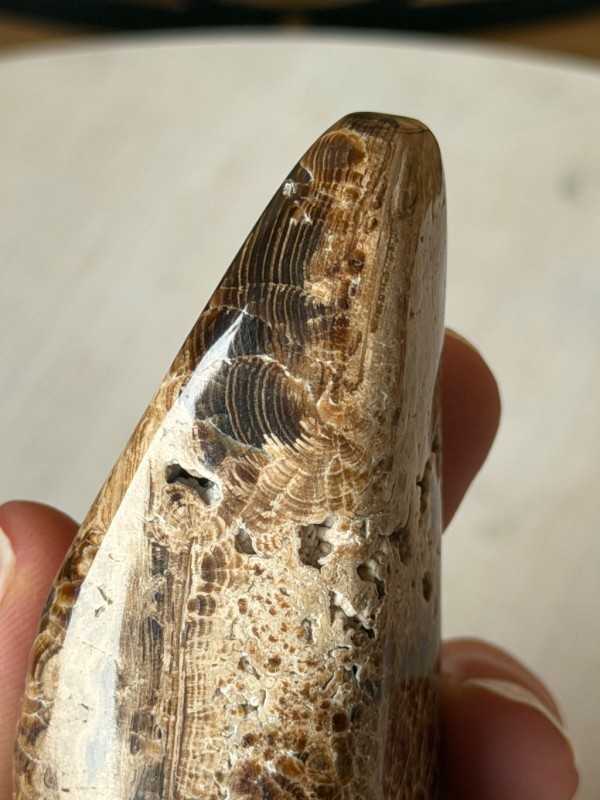 Aragonite marron (0.246kg)