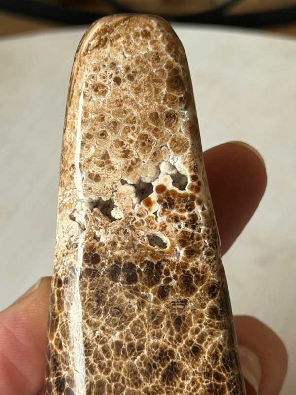 Aragonite marron (0.246kg)