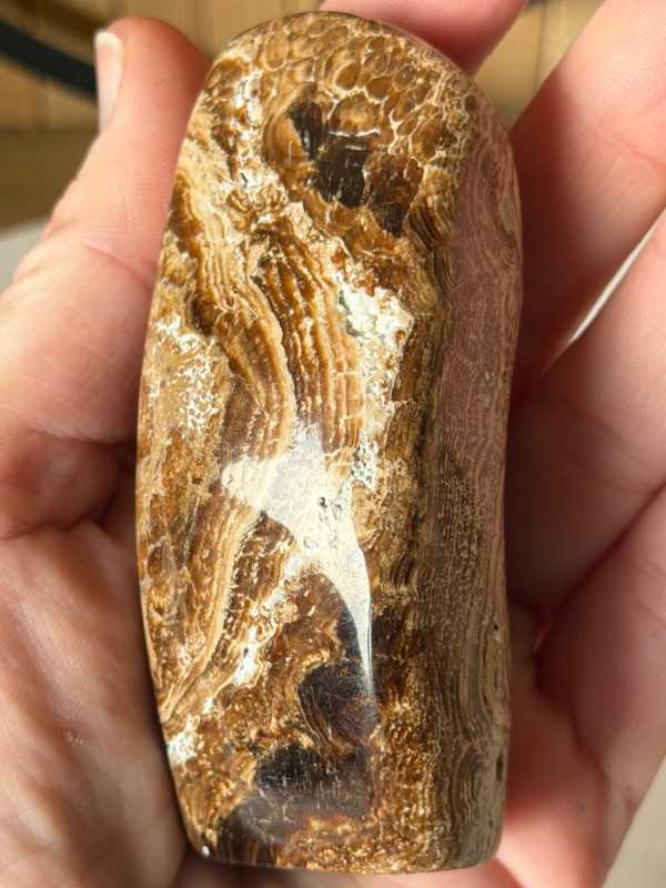 Aragonite marron (0.186kg)