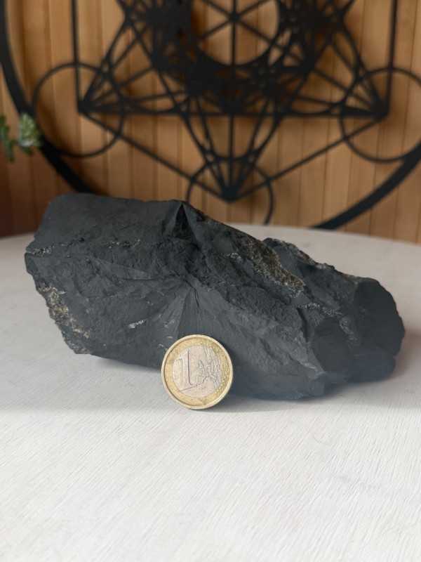 Shungite (0.6kg)