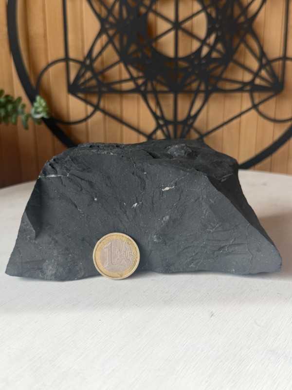 Shungite (0.587kg)