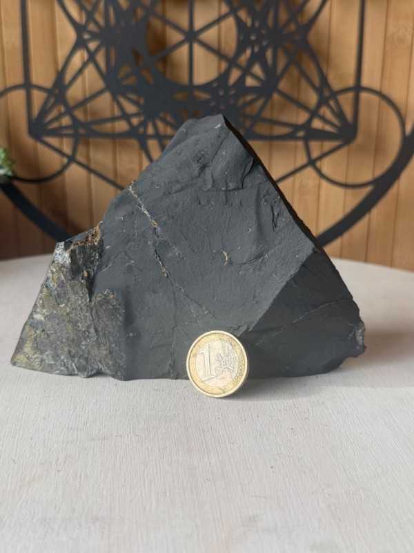 Shungite (0.382kg)