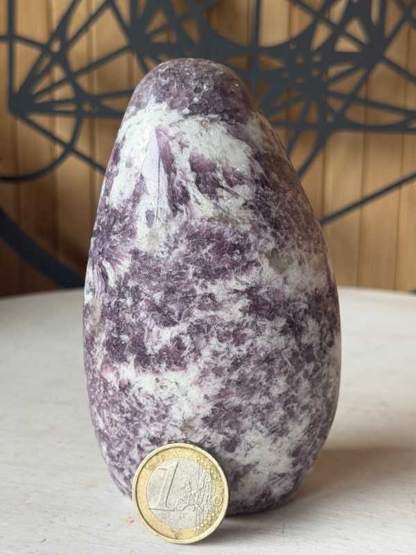 Lepidolite (0.486kg)