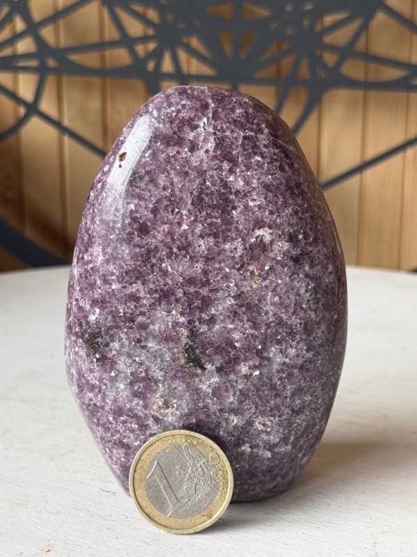Lepidolite (0.356kg)