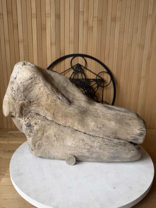 Bois fossilisé (7.2kg)