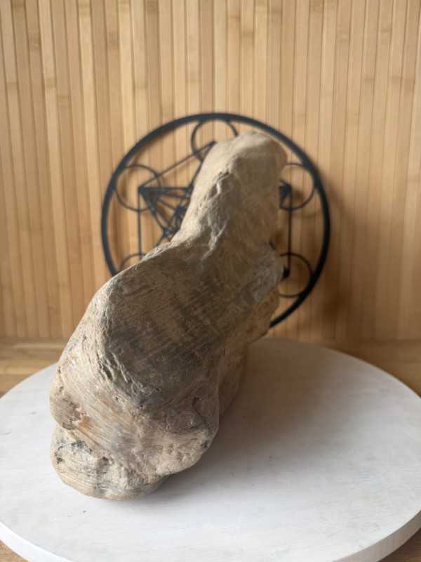 Bois fossilisé (7.2kg)