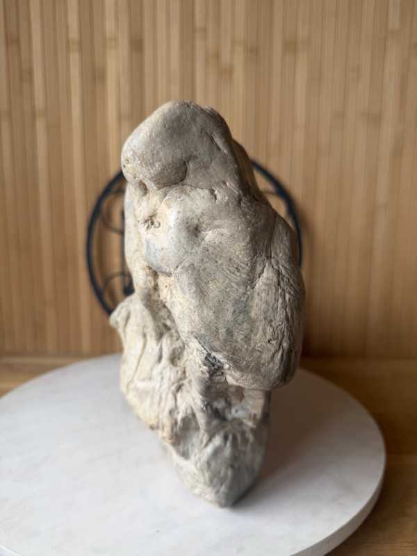Bois fossilisé (7.2kg)