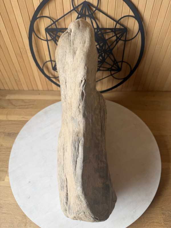 Bois fossilisé (7.2kg)