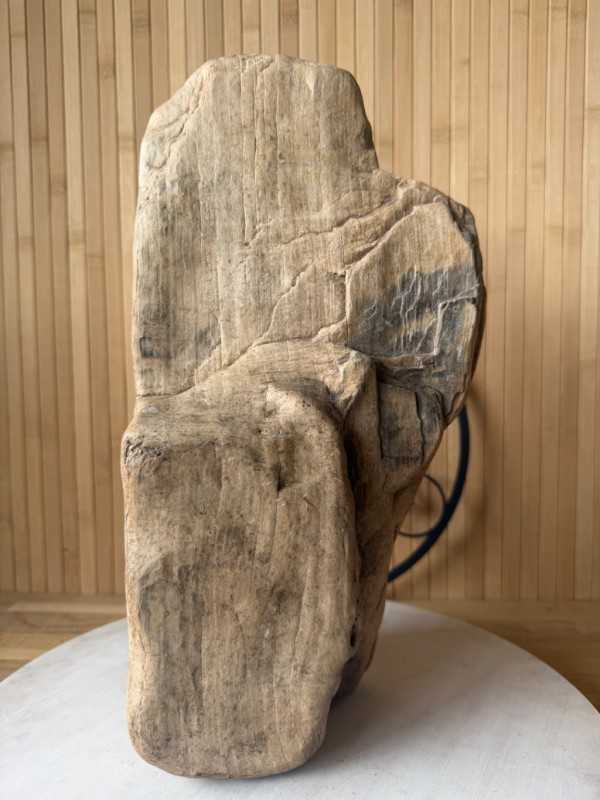Bois fossilisé (7.3kg)