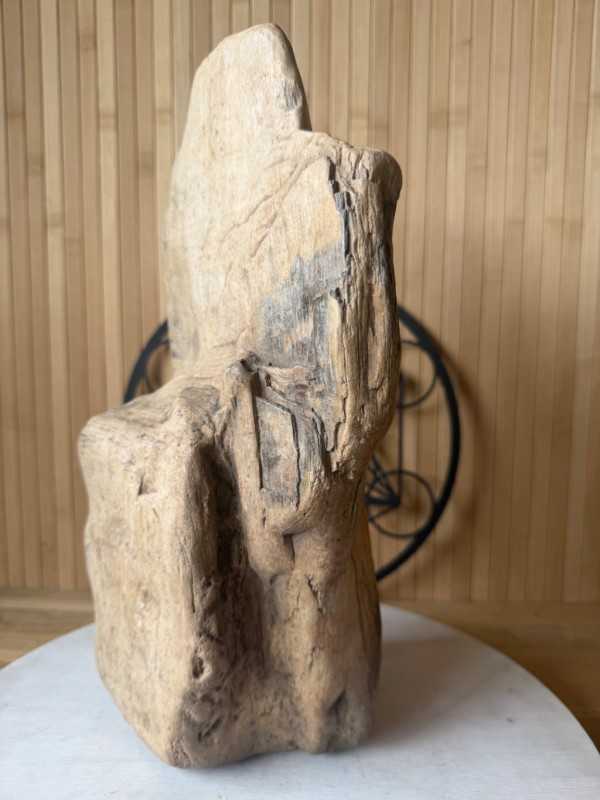 Bois fossilisé (7.3kg)
