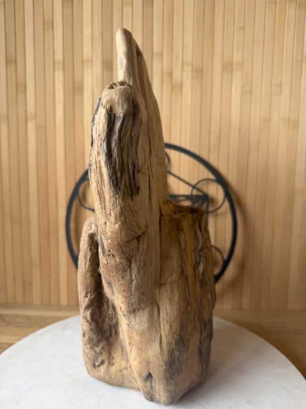 Bois fossilisé (7.3kg)