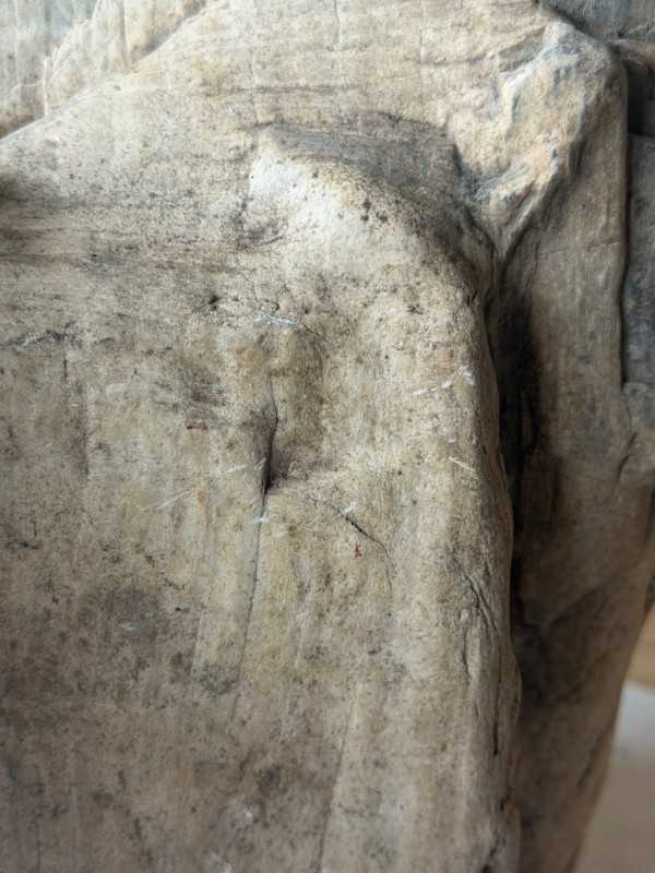 Bois fossilisé (7.3kg)