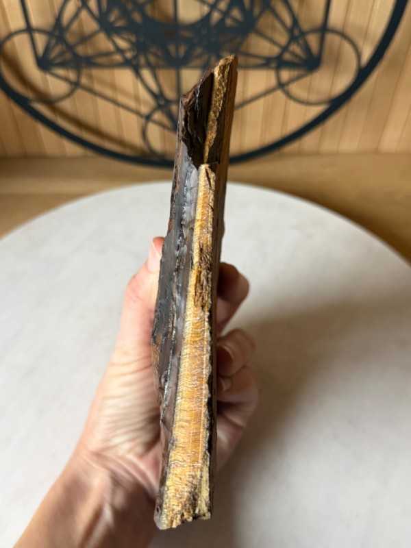 Œil de tigre (0.735kg)