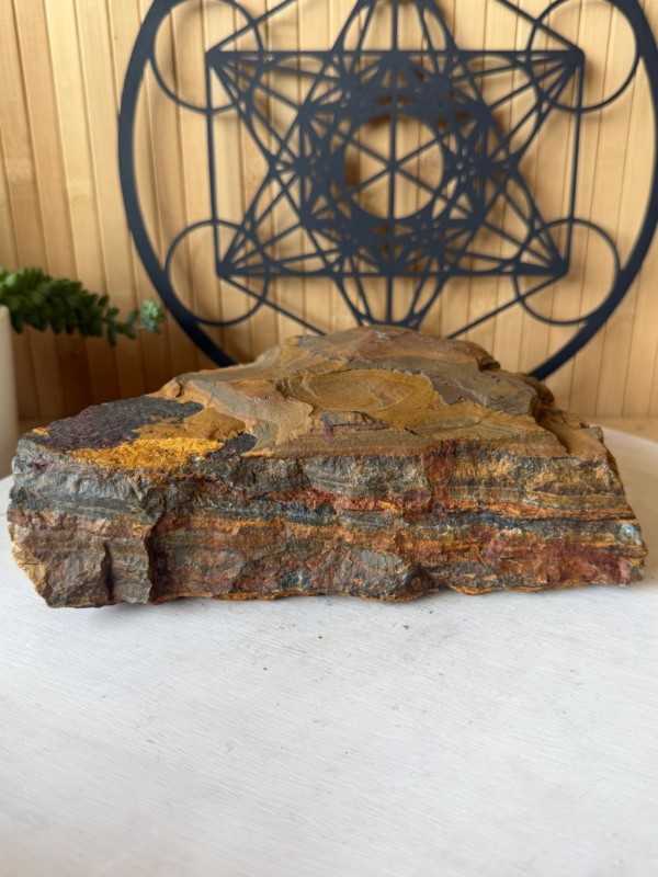 Œil de faucon (2.495kg)