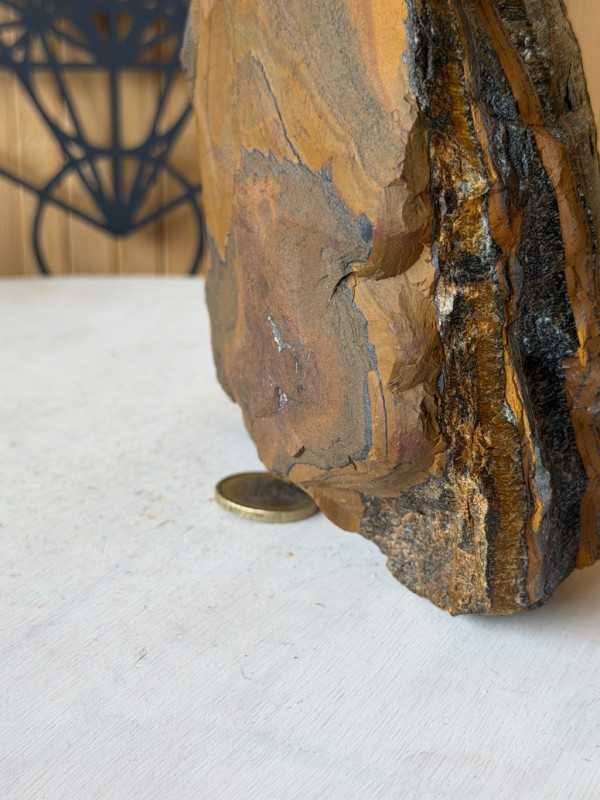 Œil de faucon (2.495kg)