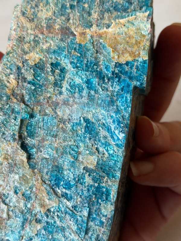 Apatite bleue (1.17kg)