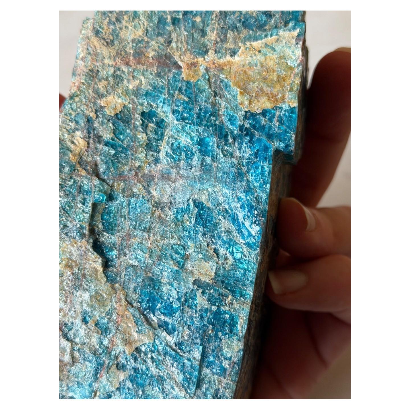Apatite bleue (1.17kg)