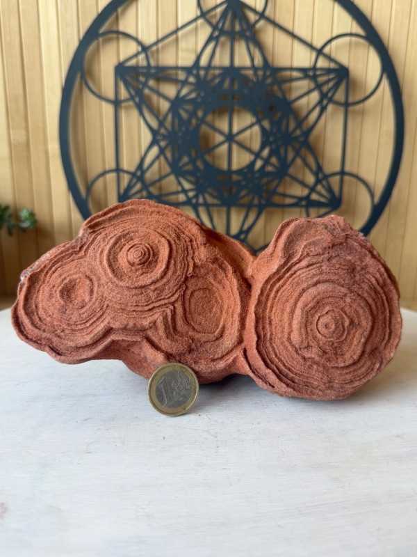 Stromatolithes (1.255kg)