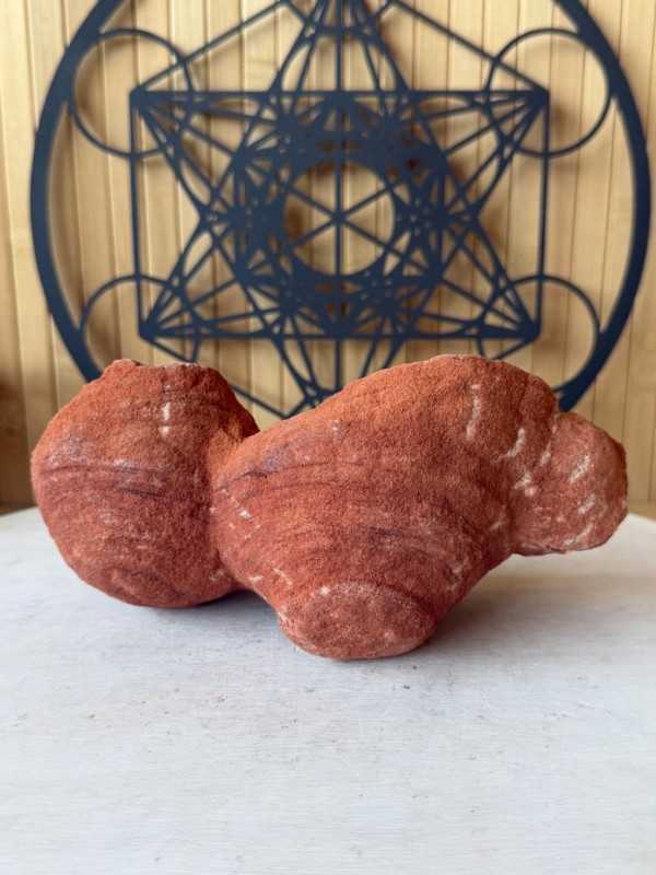 Stromatolithes (1.255kg)