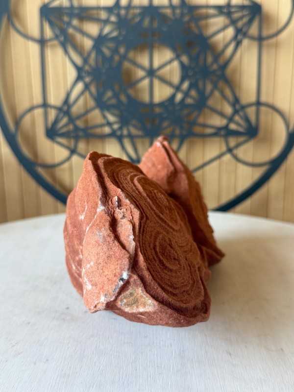 Stromatolithes (1.255kg)