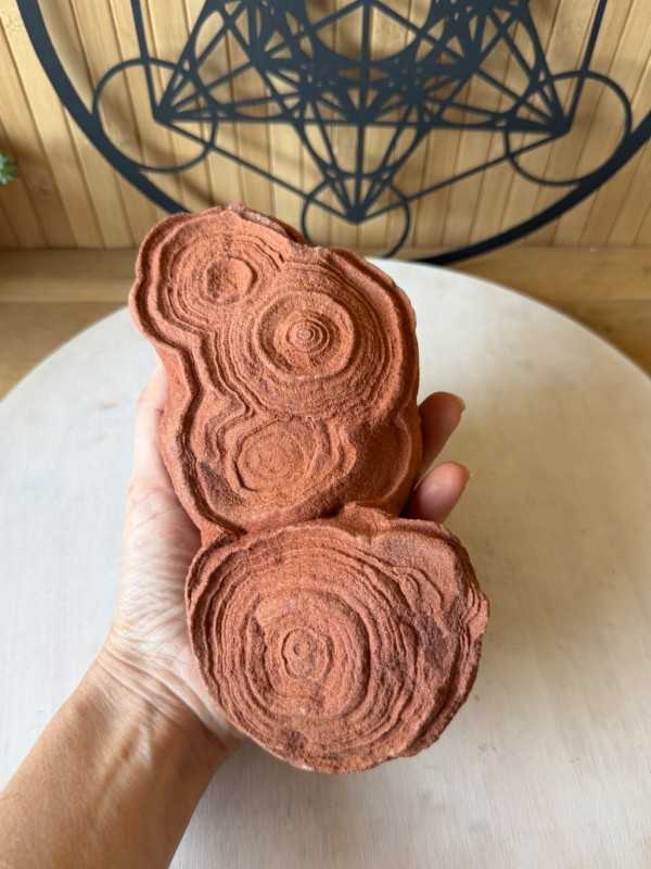 Stromatolithes (1.255kg)