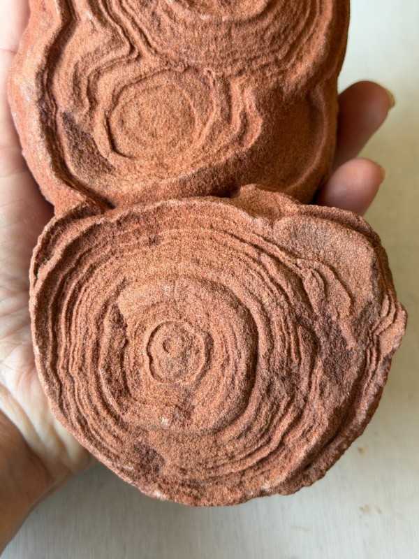 Stromatolithes (1.255kg)