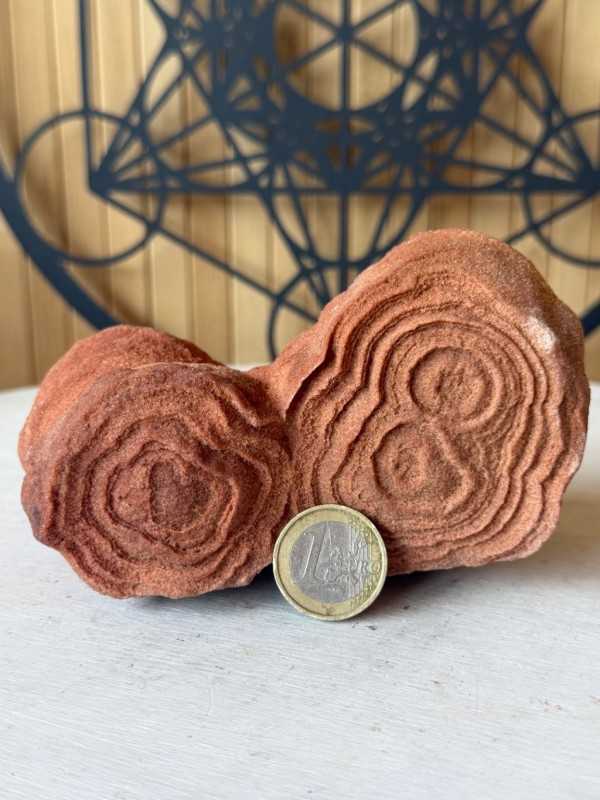 Stromatolithes (0.76kg)