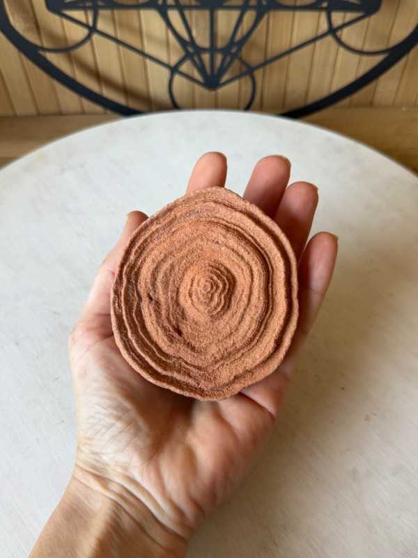 Stromatolithes (0.285kg)