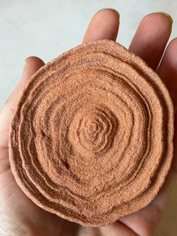 Stromatolithes (0.285kg)