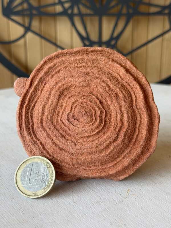 Stromatolithes (0.385kg)