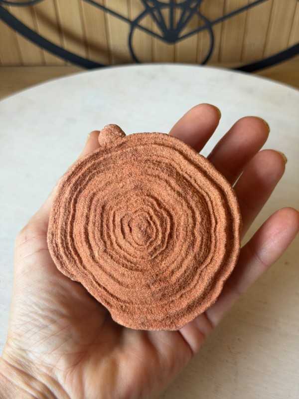 Stromatolithes (0.385kg)