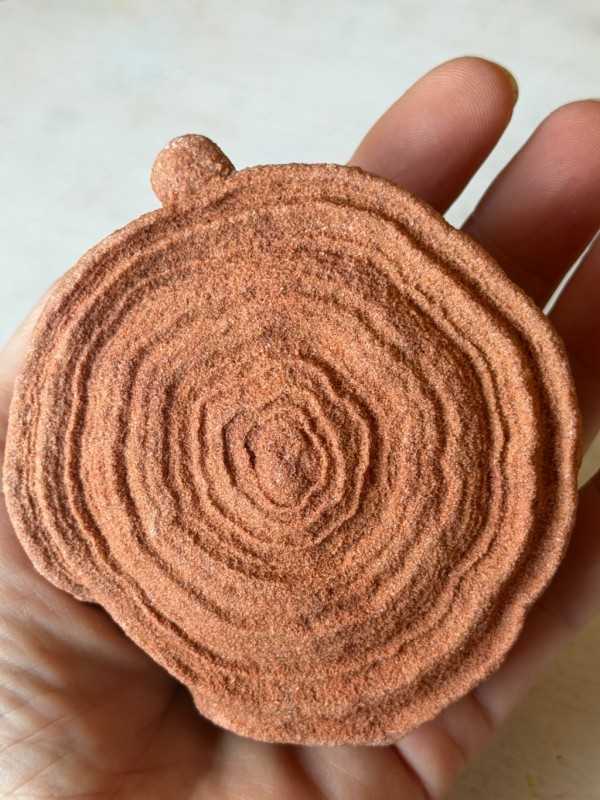 Stromatolithes (0.385kg)